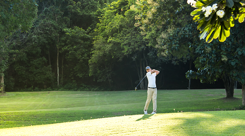 Golfspiller hcp