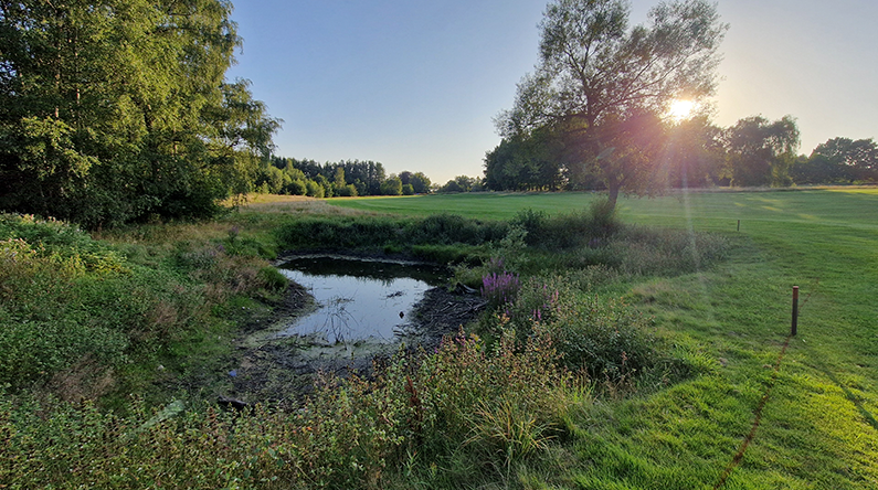 Banebillede