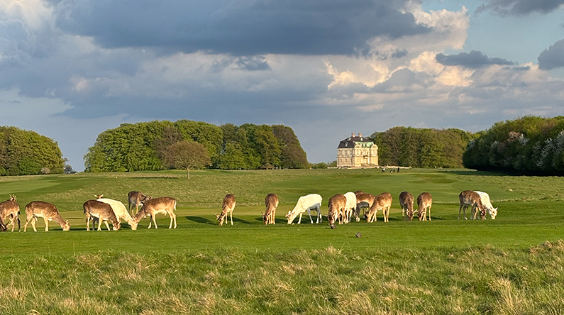 Københavns Golf Klub