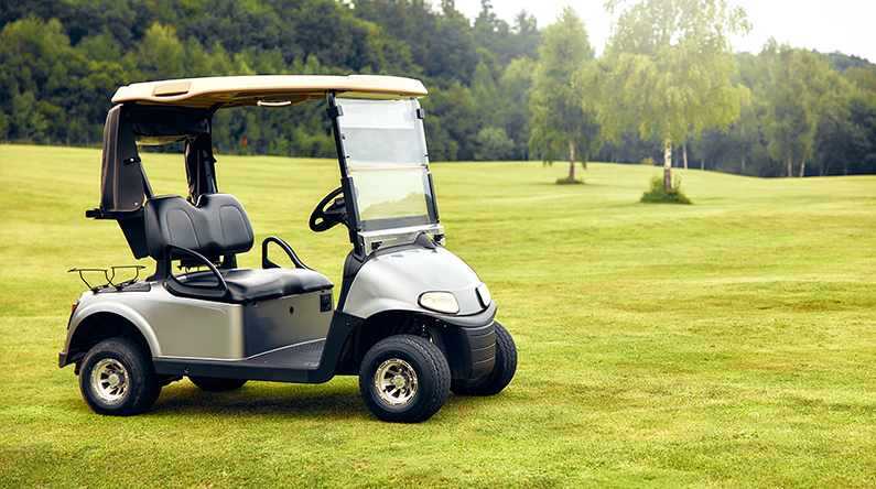 golf buggy