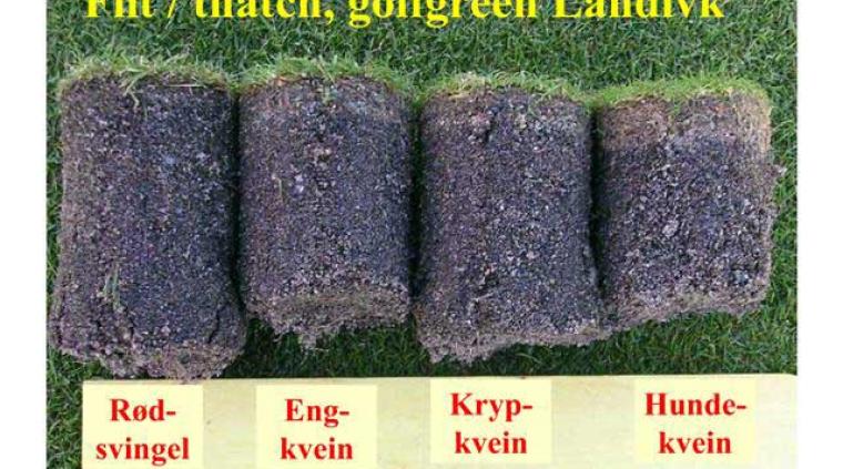 Filt Græs golf